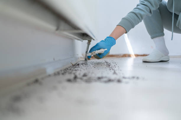 Best Wasp Removal Services  in Burns Harbor, IN